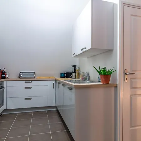Duplex Climatise Dans Le Centre Historique De Troyes, 13 Elegant * Troyes