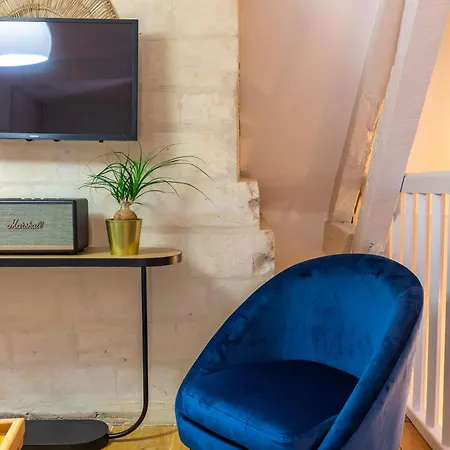Duplex Climatise Dans Le Centre Historique De Troyes, 13 Elegant *