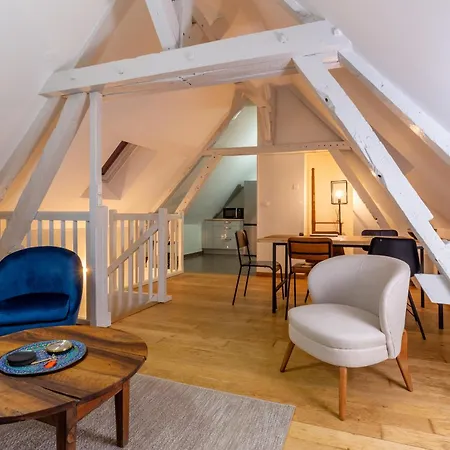Duplex Climatise Dans Le Centre Historique De Troyes, 13 Elegant * Troyes