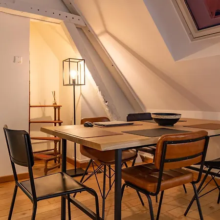 Duplex Climatise Dans Le Centre Historique De Troyes, 13 Elegant Lejlighed