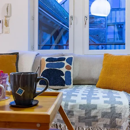 Le 13 Elegant Appartement Troyes