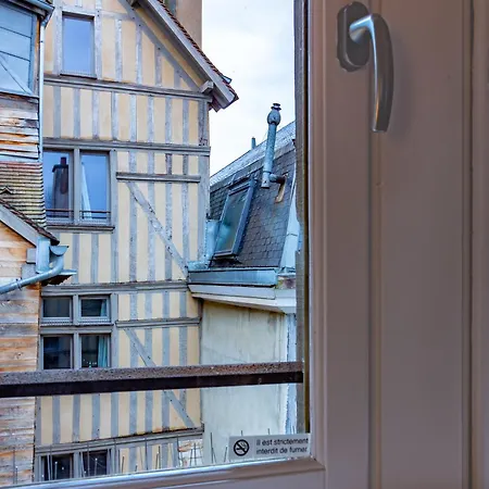 Duplex Climatise Dans Le Centre Historique De Troyes, 13 Elegant *