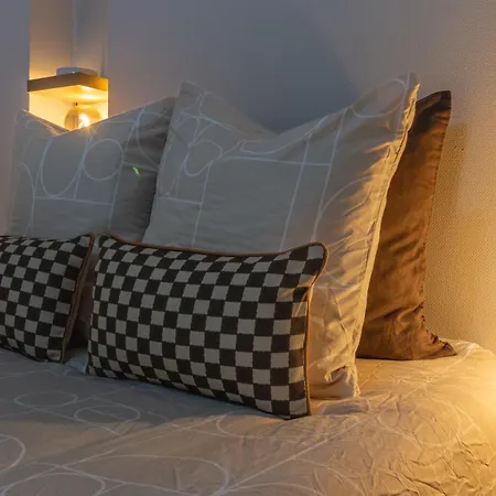 Duplex Climatise Dans Le Centre Historique De Troyes, 13 Elegant Troyes